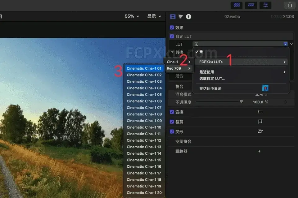 在 FCPX 中一键安装并使用 LUTs 调色预设:完整指南教程