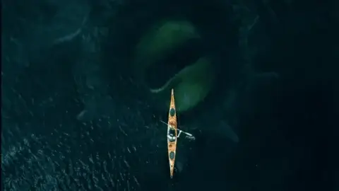 挪威怪兽电影《Kraken》调色全解析：杜比视界、LED虚拟拍摄与AI工具实战