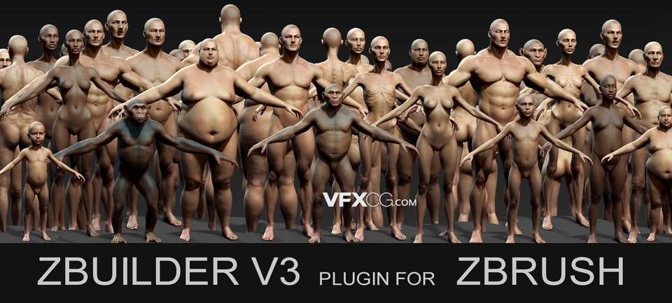 ZBrush插件Human ZBuilder v3人体生物模型工具