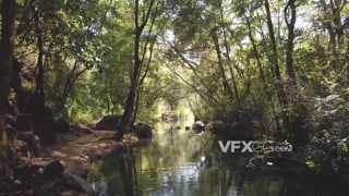 阳光下无人机在森林河上的倒车实拍视频
