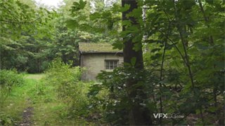实拍视频幽静森林出现历史悠久无人居住破旧小屋