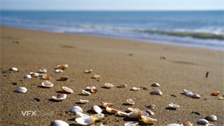 实拍视频海潮褪去留下贝壳显现在拥有细软沙砾的沙滩4K分辨率