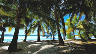 实拍视频蓝色清澈大海旁沙滩种植棕榈树供人乘凉
