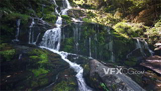 实拍视频森林覆盖环境中瀑布从长满苔藓的绿色岩石倾落而下
