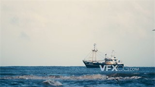 实拍视频轮船在湛蓝涨潮海面上摇晃周围海鸥飞翔4K分辨率