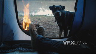 实拍视频主人待在帐篷里狗狗在户外篝火旁