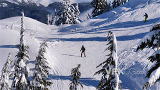 实拍视频高角度拍摄滑雪者运用专业技巧轻松经过滑雪道