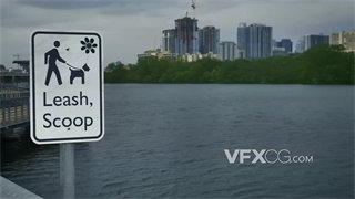 实拍视频环绕拍摄在公园湖泊带领宠物需牵引绳