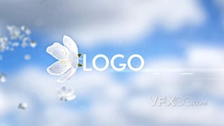 从天而降飘动白色花朵开场LOGO宣传视频片头AE模板