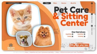 宠物护理中心收养流浪动物宣传广告动画视频AE模板