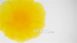背景视频素材鲜艳色彩黄色颜料滴入水中快速弥漫