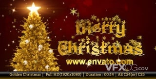庆祝圣诞节快乐树枝挂着logo动画视频片头AE模板