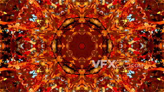 VJ视频素材枫叶多彩花纹变化4K分辨率