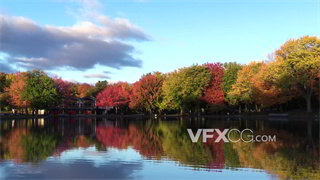 实拍视频平静如镜湖面倒映秋意渐浓金黄树叶