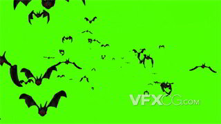 背景视频素材蝙蝠扑面飞来绿幕抠像