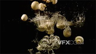 实拍视频新鲜食材蘑菇美食广告宣传拍摄4K分辨率