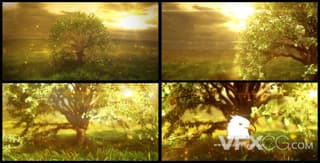 温馨自然草地阳光洒下树叶飘过揭示logo视频片头AE模板