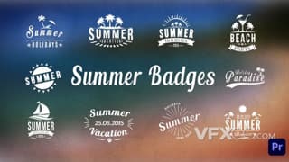 夏季暑期假日图文标题徽章动画视频字幕PR模板