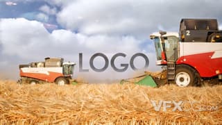 丰收季收割机收获金黄小麦揭示logo动画视频AE模板