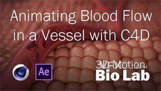 C4D教程血管红细胞建模规律流动动画制作过程