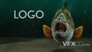 海底鱼从远处快速游来揭示logo动画视频片头AE模板