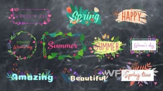 彩色花卉植物清新时尚文字标题徽章设计视频字幕AE模板