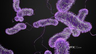 C4D制作微观生物单鞭毛杆菌3D模型
