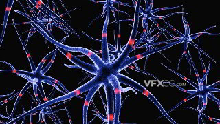 C4D制作神经细胞群与信息传输动画教程