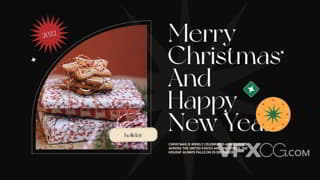 圣诞节家庭聚会庆祝节日照片展示动感宣传视频AE模板