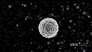 显微镜下微细胞运动动画效果制作C4D视频教程