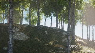 C4D森林场景制作Octane渲染丁达尔效应视频教程