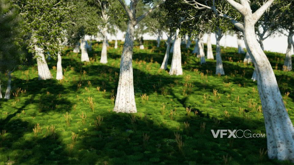 C4D制作3D写实清新自然树林草丛场景模型