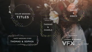 彩色婚礼标题带植物元素文本设计视频字幕达芬奇模板