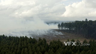 4K森林火焰燃烧升起浓烟滚滚的震撼的航拍视频