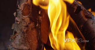 4K熊熊燃烧的火焰燃烧树木的特写镜头实拍视频