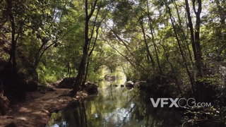 郁郁葱葱的深山老林里一条安静悠然的河流航拍实拍视频