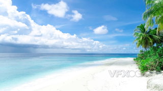 晴空万里的天气和海岛上的阳光沙滩以及广茂的椰树实拍视频