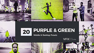 20款时尚杂志照摄影紫色与绿色混和色调Lightroom预设