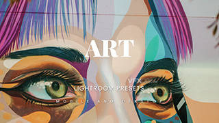 现代艺术绘画艺术美学调色Lightroom预设