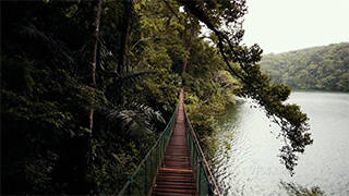 实拍户外旅行深山密林湖面木板桥视频素材