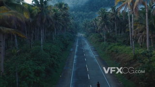 摩托车手行驶在一条穿梭于森林中的马路实拍视频