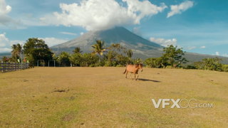 巍峨的大山下安静的农场里悠闲散步的马的实拍视频