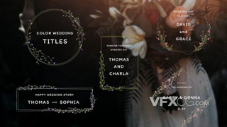 橄榄枝生长美好浪漫婚礼标题动画视频字幕Motion模板