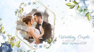 浪漫温馨明亮幸福美好金色手绘婚礼纪念视频相册AE模板
