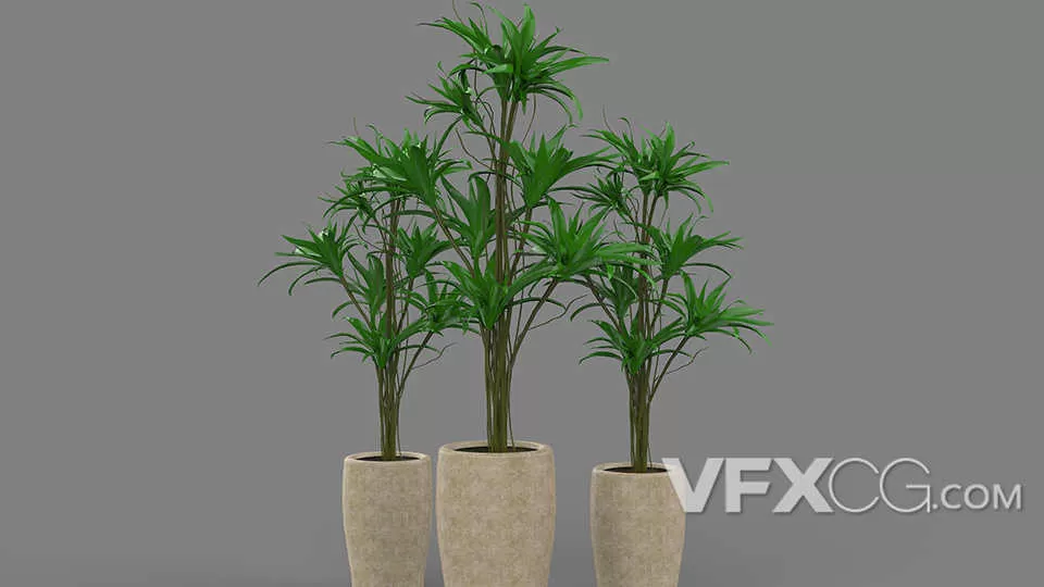 现代装饰装修植物绿植C4D模型