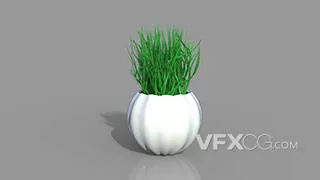 绿色植物草盆栽三维C4D模型