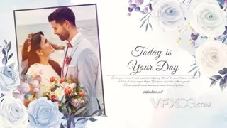 婚礼浪漫周年纪念金色手绘优雅视频相册AE模板