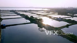 唯美成片的养鱼池农业规模实拍视频