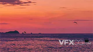 夕阳火烧云大海海鸥景色实拍视频