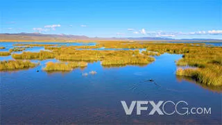 若尔盖花湖生态旅游区风景实拍视频